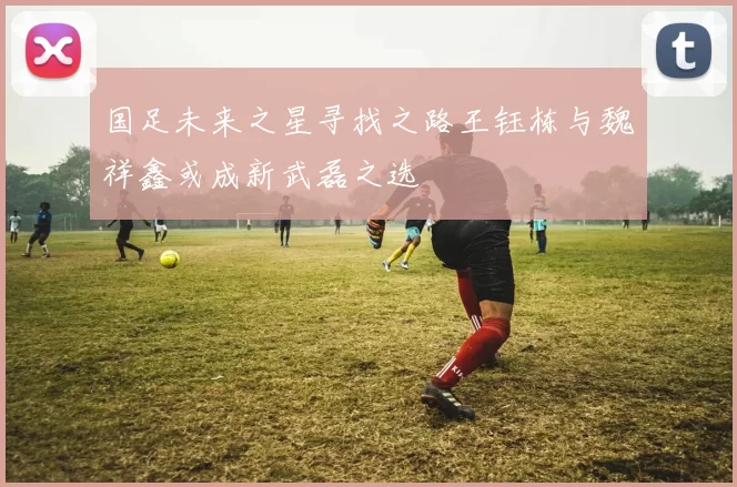 国足未来之星寻找之路王钰栋与魏祥鑫或成新武磊之选