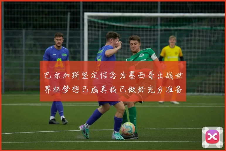 巴尔加斯坚定信念为墨西哥出战世界杯梦想已成真我已做好充分准备